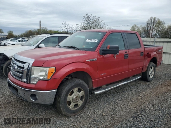 2011 Ford F-150 XLT with VIN 1FTFW1ET0BFA54142, listed as a Copart auction lot 53784325 with 214,341 mi miles and Clean Title. Bid and sale history available at carsss.com. Image 1.