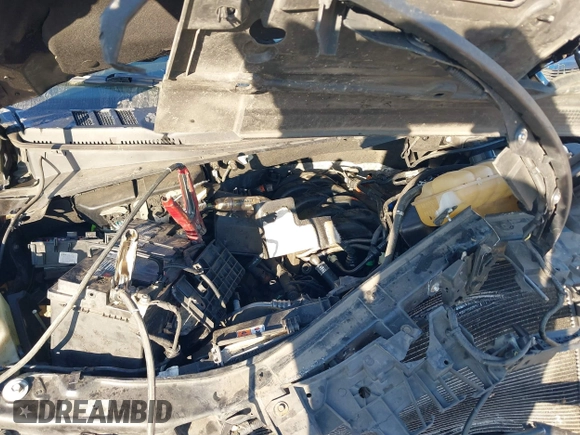 2018 Ford F-150 XL with VIN 1FTEW1E55JFB36007, listed as a IAAI auction lot 41788565 with Not provided miles and . Bid and sale history available at DreamBid. Image 10.