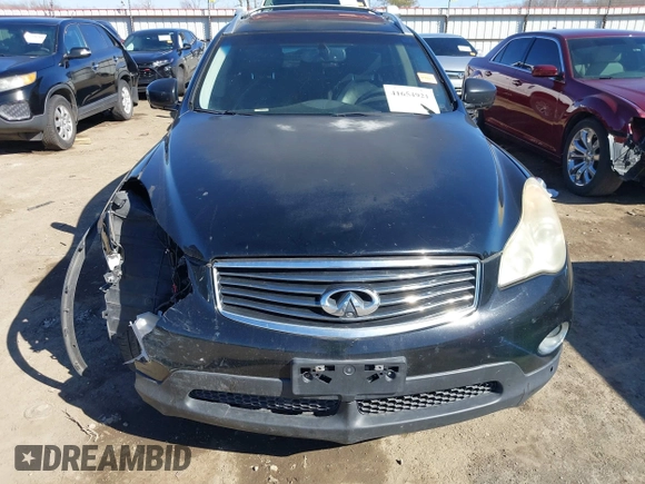 2009 Infiniti EX Journey with VIN JNKAJ09E29M900659, listed as a IAAI auction lot 41654921 with 178,215 mi miles and . Bid and sale history available at DreamBid. Image 13.