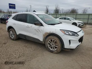 2022 Ford Escape SE with VIN 1FMCU9G61NUB14505, listed as a Copart auction lot 50307425 with 8,265 mi miles and Salvage title. Bid and sale history available at DreamBid. Image 4.