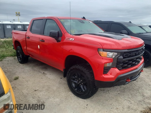 2024 Chevrolet Silverado 1500 Custom Trail Boss with VIN 3GCUDCEDXRG343846, listed as a Copart auction lot 79827194 with 2,163 mi miles and Non Repairable. Bid and sale history available at carsss.com. Image 4.