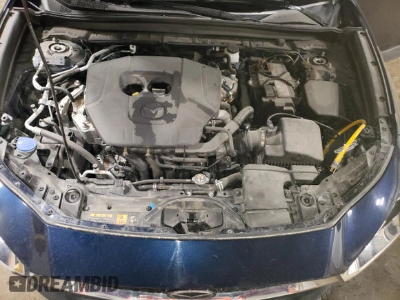 2024 Mazda CX-30 S Preferred with VIN 3MVDMBCM5RM667266, listed as a Copart auction lot 54365425 with 12,641 mi miles and Clean Title. Bid and sale history available at DreamBid. Image 12.