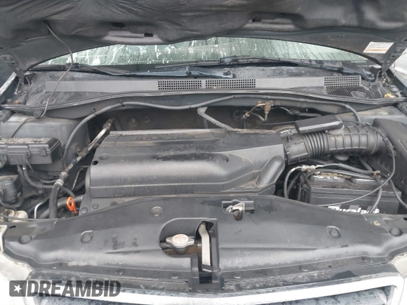 2004 Honda Odyssey EX-L with VIN 5FNRL18974B015769, listed as a IAAI auction lot 41533063 with 284,923 mi miles and . Bid and sale history available at DreamBid. Image 10.