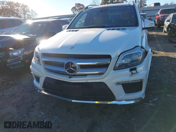 2016 Mercedes-Benz GL with VIN 4JGDF7DE6GA703049, listed as a IAAI auction lot 41063570 with 116,736 mi miles. Bid and sale history available at carsss.com. Image 6.