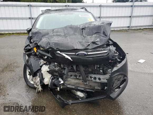 2015 Ford Escape SE with VIN 1FMCU9G97FUB32096, listed as a Copart auction lot 50242225 with Not Provided miles and Salvage Title. Bid and sale history available at carsss.com. Image 5.