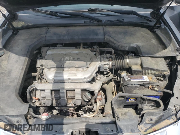 2009 Acura TL z VIN 19UUA86239A016434, wystawiony jako Copart lot #59286985 z przebiegiem 227 417 mil mil oraz Czysty tytuł • Clean title. Historia ofert i sprzedaży dostępna na DreamBid. Obrazek 11.