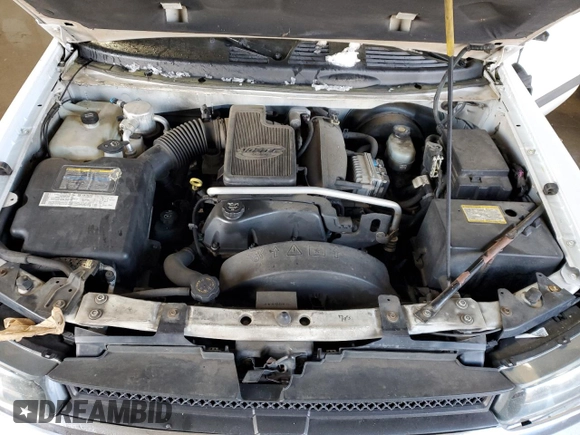 2004 Chevrolet TrailBlazer LS with VIN 1GNDS13S642165230, listed as a Copart auction lot 46272915 with 143,115 mi miles and Salvage Title. Bid and sale history available at carsss.com. Image 12.