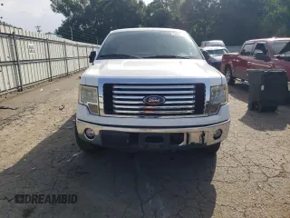 2010 Ford F-150 XL with VIN 1FTEX1C88AFA01775, listed as a Copart auction lot 62842515 with 153,623 mi miles and Clean title. Bid and sale history available at DreamBid. Image 5.