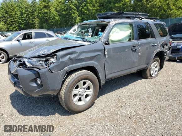 2024 Toyota 4Runner SR5 with VIN JTEMU5JR5R6215525, listed as a Copart auction lot 59391125 with 13,084 mi miles and Salvage title. Bid and sale history available at DreamBid. Image 1.