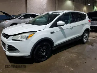 2014 Ford Escape SE with VIN 1FMCU9GX7EUB50417, listed as a Copart auction lot 44676985 with 123,539 mi miles and Clean Title. Bid and sale history available at carsss.com. Image 1.