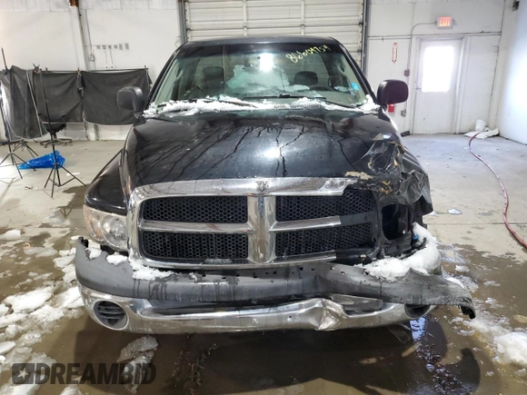 2002 Dodge 1500 with VIN 1D7HA16K52J247726, listed as a Copart auction lot 86604754 with Not Provided miles and Salvage Title. Bid and sale history available at DreamBid. Image 5.