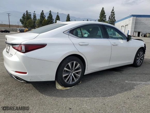 2019 Lexus ES with VIN 58ABZ1B1XKU007550, listed as a Copart auction lot 53268295 with 28,515 mi miles and Salvage Title. Bid and sale history available at carsss.com. Image 3.