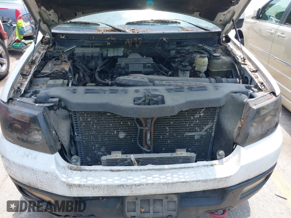 2004 Ford F-150 XLT with VIN 1FTPX14564NB15264, listed as a IAAI auction lot 42380984 with Not provided miles and . Bid and sale history available at DreamBid. Image 10.