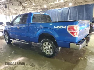 2010 Ford F-150 XL with VIN 1FTEX1E81AFC65403, listed as a Copart auction lot 46464375 with 205,244 mi miles and Clean Title. Bid and sale history available at carsss.com. Image 2.