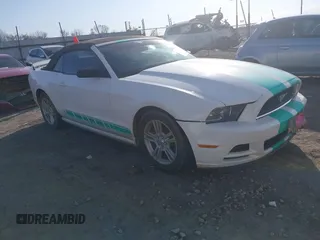 2013 Ford Mustang V6 with VIN 1ZVBP8EM7D5234320, listed as a IAAI auction lot 41512045 with 113,916 mi miles and . Bid and sale history available at DreamBid. Image 1.