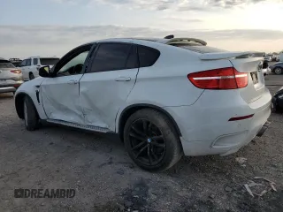 2012 BMW X6 50i z VIN 5UXFG8C59CL590549, wystawiony jako Copart lot #53071175 z przebiegiem 67 390 mil mil oraz Szkoda całkowita • Salvage title. Historia ofert i sprzedaży dostępna na DreamBid. Obrazek 2.