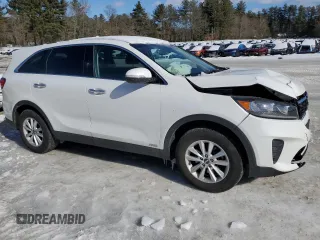 2019 Kia Sorento LX with VIN 5XYPGDA39KG540003, listed as a Copart auction lot 45834465 with 117,334 mi miles and Salvage Title. Bid and sale history available at DreamBid. Image 4.