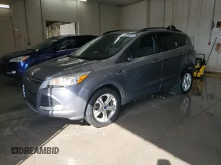 2014 Ford Escape SE with VIN 1FMCU0G99EUC31447, listed as a Copart auction lot 52894605 with 172,995 mi miles and Salvage Title. Bid and sale history available at carsss.com. Image 1.