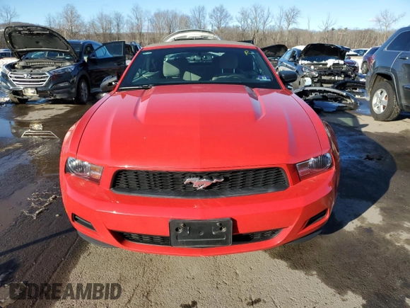 2011 Ford Mustang V6 with VIN 1ZVBP8EM2B5134834, listed as a Copart auction lot 44695685 with 34,104 mi miles and Salvage Title. Bid and sale history available at carsss.com. Image 5.