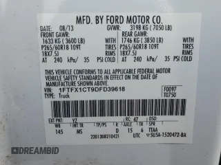 2013 Ford F-150 XL with VIN 1FTFX1CT9DFD39618, listed as a Copart auction lot 42600395 with 99,380 mi miles and Clean Title. Bid and sale history available at carsss.com. Image 12.