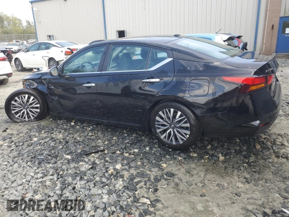 2025 Nissan Altima SV with VIN 1N4BL4DV9SN369349, listed as a Copart auction lot 53824945 with 291 mi miles and Clean Title. Bid and sale history available at DreamBid. Image 2.
