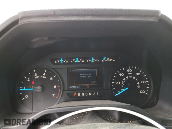 2016 Ford F-150 XL with VIN 1FTMF1CP0GKD10534, listed as a Copart auction lot 50869025 with 307,869 mi miles and Salvage Title. Bid and sale history available at carsss.com. Image 9.