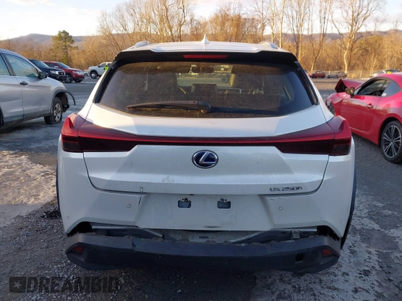 2019 Lexus UX with VIN JTHU9JBH3K2014755, listed as a IAAI auction lot 41320738 with 47,867 mi miles. Bid and sale history available at carsss.com. Image 16.
