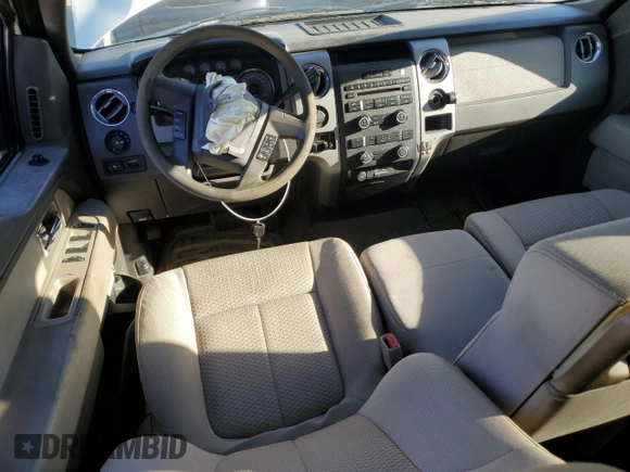 2009 Ford F-150 XL with VIN 1FTPX14V09FB46656, listed as a Copart auction lot 50243765 with 0 mi miles and Clean Title. Bid and sale history available at carsss.com. Image 8.