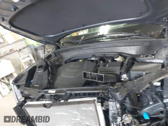 2024 Kia Telluride S with VIN 5XYP6DGC9RG481460, listed as a IAAI auction lot 42309411 with 14,182 mi miles and . Bid and sale history available at DreamBid. Image 10.