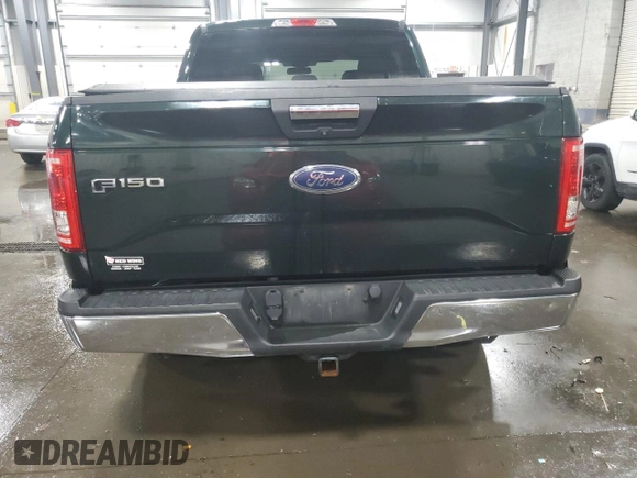 2015 Ford F-150 XLT with VIN 1FTEW1EG0FFC94229, listed as a Copart auction lot 65786875 with 171,891 mi miles and Clean title. Bid and sale history available at DreamBid. Image 6.