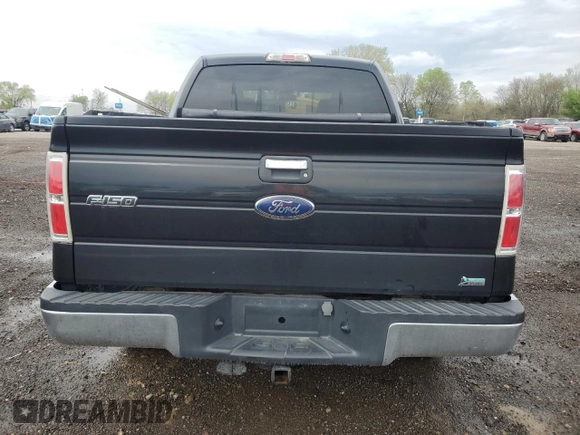 2010 Ford F-150 XL with VIN 1FTFW1EV1AKB33018, listed as a Copart auction lot 54377785 with 160,695 mi miles and Salvage title. Bid and sale history available at DreamBid. Image 6.