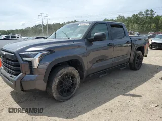 2024 Toyota Tundra SR5 with VIN 5TFLA5DB0RX151993, listed as a Copart auction lot 56543025 with 17,502 mi miles and Salvage title. Bid and sale history available at DreamBid. Image 1.