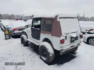 1993 Jeep Wrangler with VIN 1J4FY29S8PP250438, listed as a IAAI auction lot 41552113 with 158,020 mi miles. Bid and sale history available at carsss.com. Image 3.