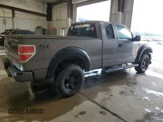 2014 Ford F-150 XL with VIN 1FTFX1EF8EFD05579, listed as a Copart auction lot 60051735 with 175,914 mi miles and Clean title. Bid and sale history available at DreamBid. Image 3.