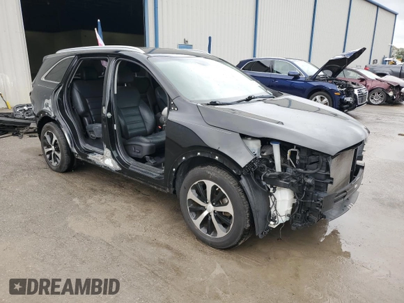 2017 Kia Sorento EX with VIN 5XYPH4A59HG301722, listed as a Copart auction lot 48353185 with 87,128 mi miles and Salvage Title. Bid and sale history available at carsss.com. Image 4.