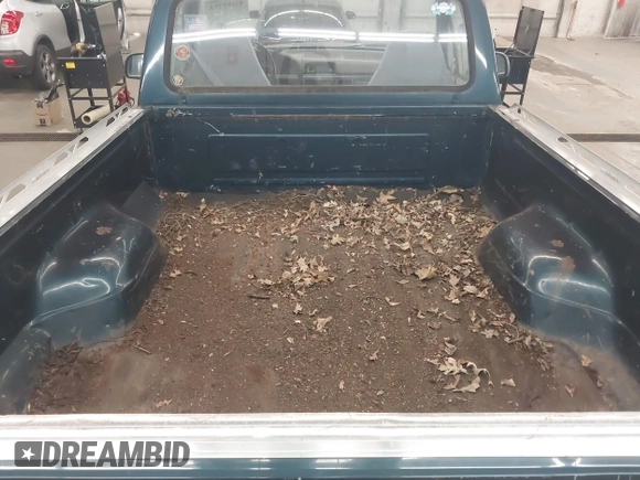 1994 Ford F-150 with VIN 1FTEF14N3RLB18233, listed as a IAAI auction lot 42193773 with 211,804 mi miles and . Bid and sale history available at DreamBid. Image 8.