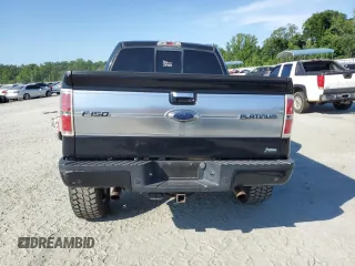 2010 Ford F-150 XL with VIN 1FTFW1EV7AFD74218, listed as a Copart auction lot 61984735 with 173,577 mi miles and Salvage title. Bid and sale history available at DreamBid. Image 6.