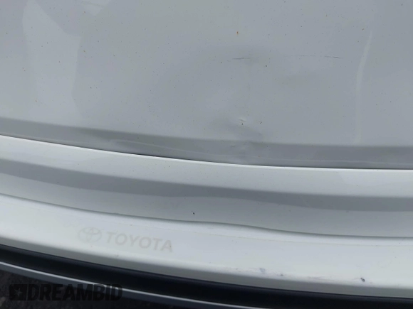 2017 Toyota RAV4 SE with VIN JTMJFREV6HD206035, listed as a IAAI auction lot 42365260 with 50,346 mi miles and . Bid and sale history available at DreamBid. Image 19.