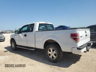 2009 Ford F-150 STX with VIN 1FTRX14809FA24799, listed as a Copart auction lot 51811255 with 123,501 mi miles and Clean title. Bid and sale history available at DreamBid. Image 2.