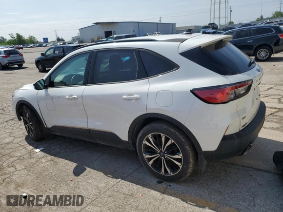 2022 Ford Escape SE with VIN 1FMCU9G62NUB44239, listed as a Copart auction lot 60988765 with Not provided miles and Salvage title. Bid and sale history available at DreamBid. Image 2.