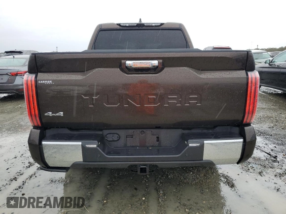 2022 Toyota Tundra 1794 Edition with VIN 5TFMA5DB5NX048356, listed as a Copart auction lot 81753004 with 17,077 mi miles and Salvage title. Bid and sale history available at DreamBid. Image 6.