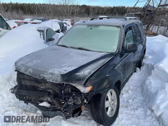 2011 Ford Escape Limited with VIN 1FMCU9EG6BKC55783, listed as a Copart auction lot 45193685 with Not Provided miles and Salvage Title. Bid and sale history available at DreamBid. Image 1.