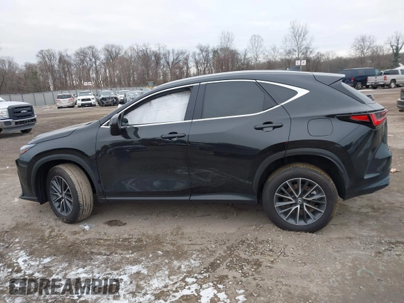 2025 Lexus NX 350h Premium with VIN 2T2GKCEZ6SC039679, listed as a IAAI auction lot 41318185 with 1,782 mi miles and . Bid and sale history available at DreamBid. Image 13.