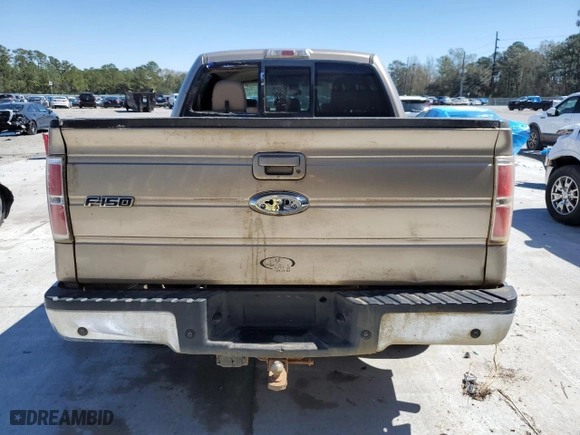2013 Ford F-150 XL with VIN 1FTFW1CT0DFC47235, listed as a Copart auction lot 49173535 with 268,294 mi miles and Salvage Title. Bid and sale history available at carsss.com. Image 6.