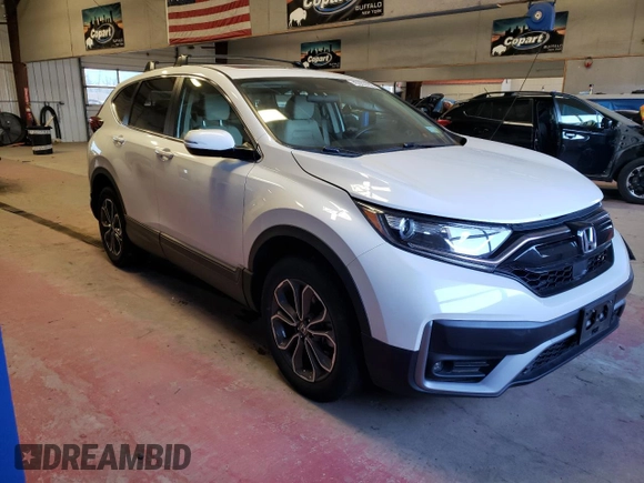 2020 Honda CR-V EX with VIN 2HKRW2H59LH652608, listed as a Copart auction lot 45093183 with 31,525 mi miles and . Bid and sale history available at DreamBid. Image 4.