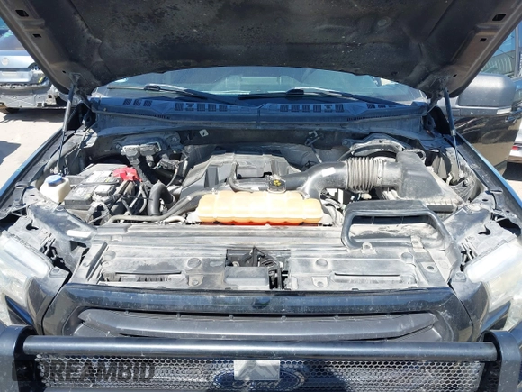 2016 Ford F-150 XLT with VIN 1FTEW1EP3GKF03617, listed as a IAAI auction lot 41662989 with 133,510 mi miles. Bid and sale history available at carsss.com. Image 10.