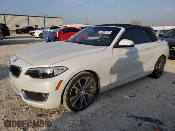 2017 BMW 2 Series 230i with VIN WBA2K9C31HV950554, listed as a Copart auction lot 44006705 with Not provided miles and Salvage title. Bid and sale history available at DreamBid. Image 1.