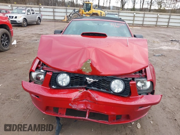 2008 Ford Mustang GT Deluxe with VIN 1ZVHT85H585146235, listed as a IAAI auction lot 41277038 with 138,033 mi miles and . Bid and sale history available at DreamBid. Image 12.