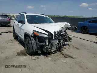2016 Jeep Cherokee Altitude with VIN 1C4PJLAB5GW355332, listed as a Copart auction lot 55952555 with Not provided miles and Salvage title. Bid and sale history available at DreamBid. Image 15.
