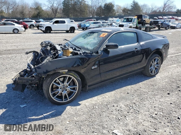 2013 Ford Mustang GT with VIN 1ZVBP8CF6D5248746, listed as a Copart auction lot 49592435 with Not Provided miles and Salvage Title. Bid and sale history available at carsss.com. Image 1.